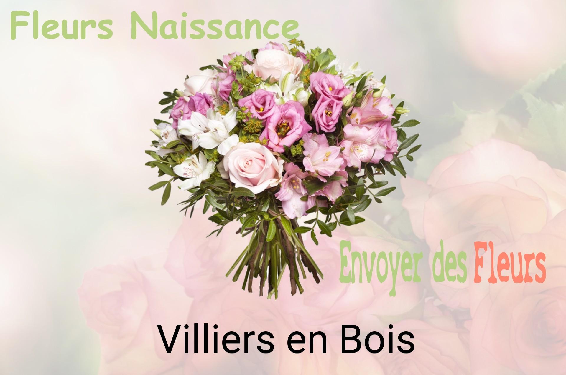 Bouquet de fleurs de naissance livré à Villiers-en-Bois