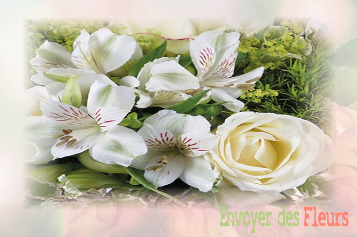 envoyer des fleurs à à VILLIERS-EN-BOIS