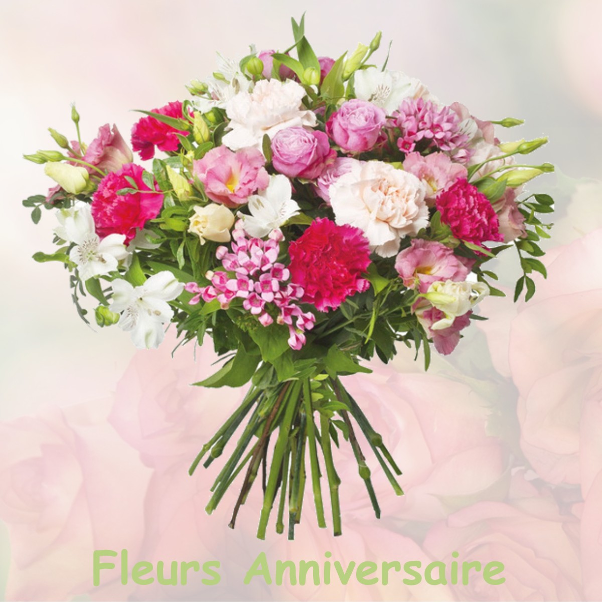 fleurs anniversaire VILLIERS-EN-BOIS
