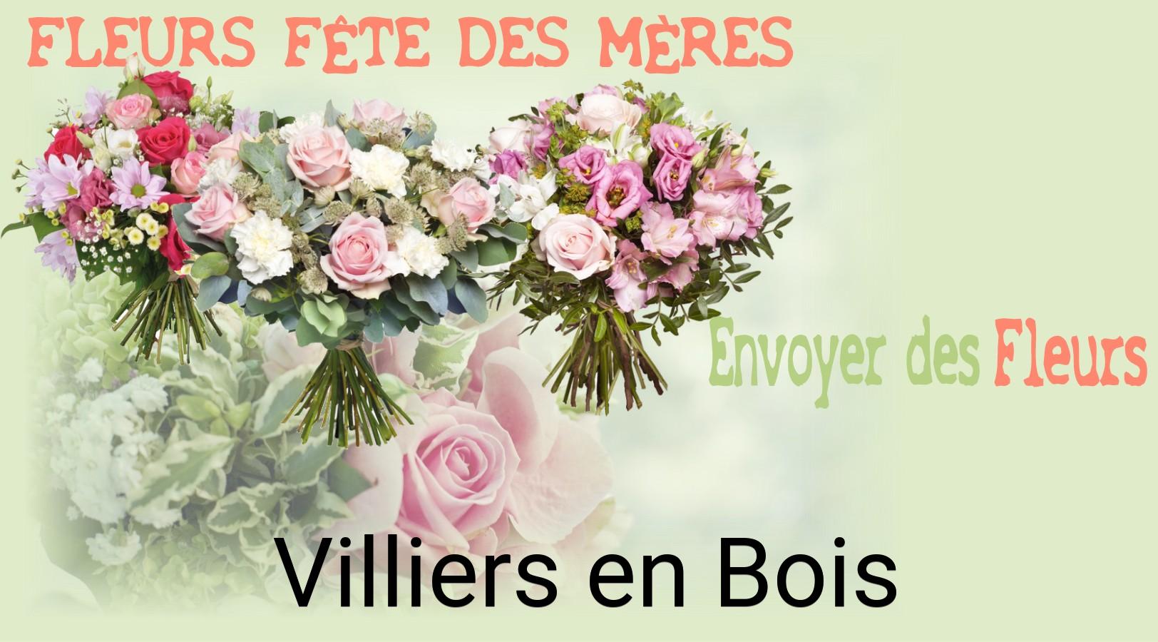 Bouquet de Fête des Mères livré à Villiers-en-Bois